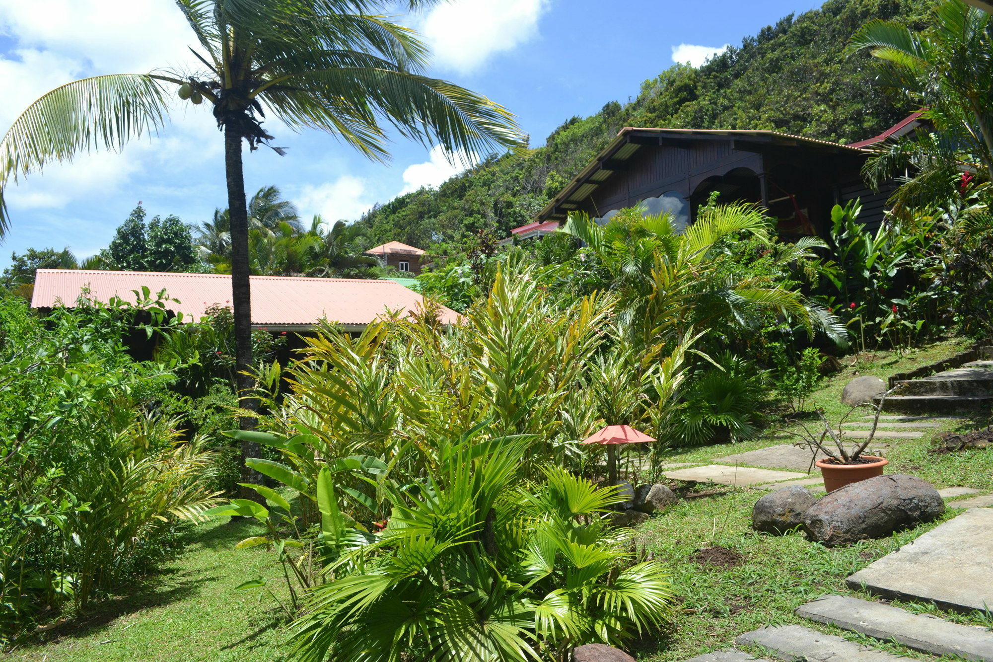 Piton Bungalows Ecolodges Deshaies Esterno foto