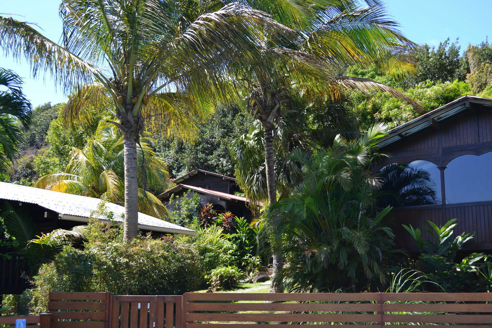 Piton Bungalows Ecolodges Deshaies Esterno foto